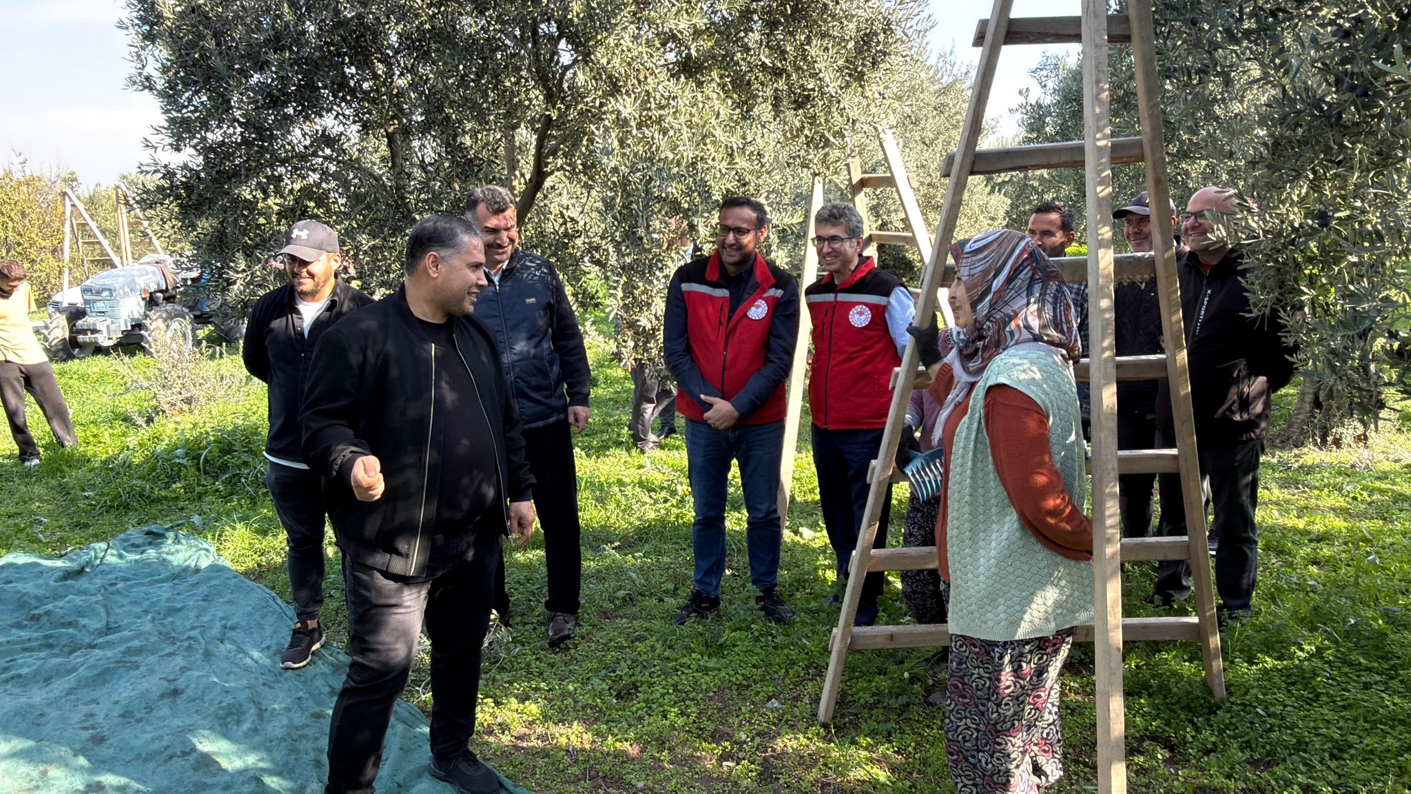 Manisa’da zeytin hasadı başladı: Tarım ve Orman İl Müdürü Karayılan hasada katıldı