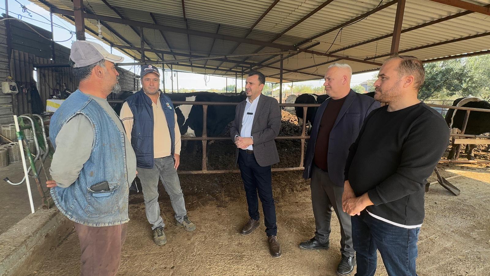 Manisa’da besiciler CHP’li Başevirgen’le dertleşti: “Şap hastalığı yüzünden kireç masrafı belimizi büktü”