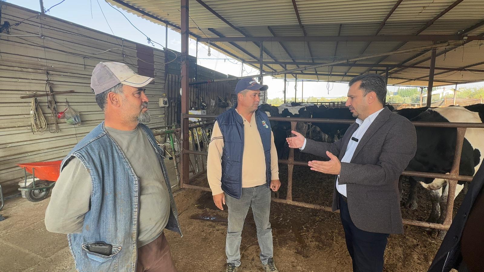 Manisa’da besiciler CHP’li Başevirgen’le dertleşti: “Şap hastalığı yüzünden kireç masrafı belimizi büktü”