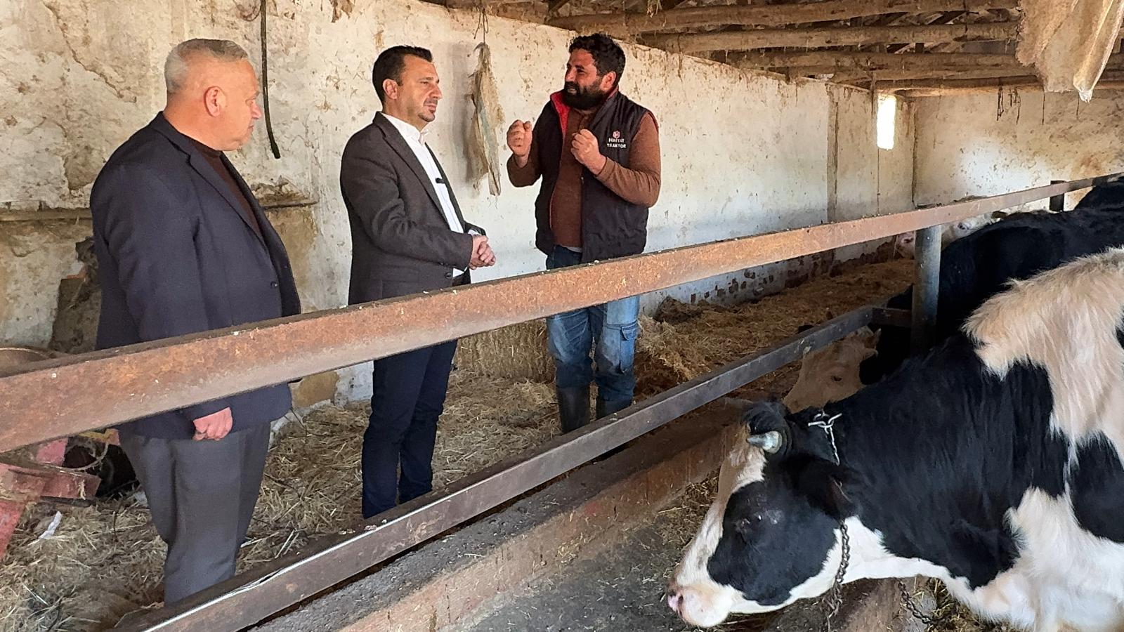 Manisa’da besiciler CHP’li Başevirgen’le dertleşti: “Şap hastalığı yüzünden kireç masrafı belimizi büktü”