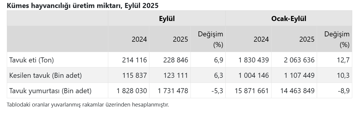 TÜİK tavuk üretim verilerini açıkladı: Üretim sayısı yükselişte!