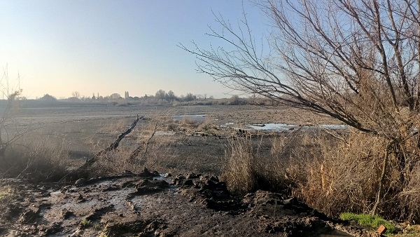 Manisa’da Çevre Zararı Karşılıksız Kalmadı: 132 Milyon TL Ceza Kesildi!