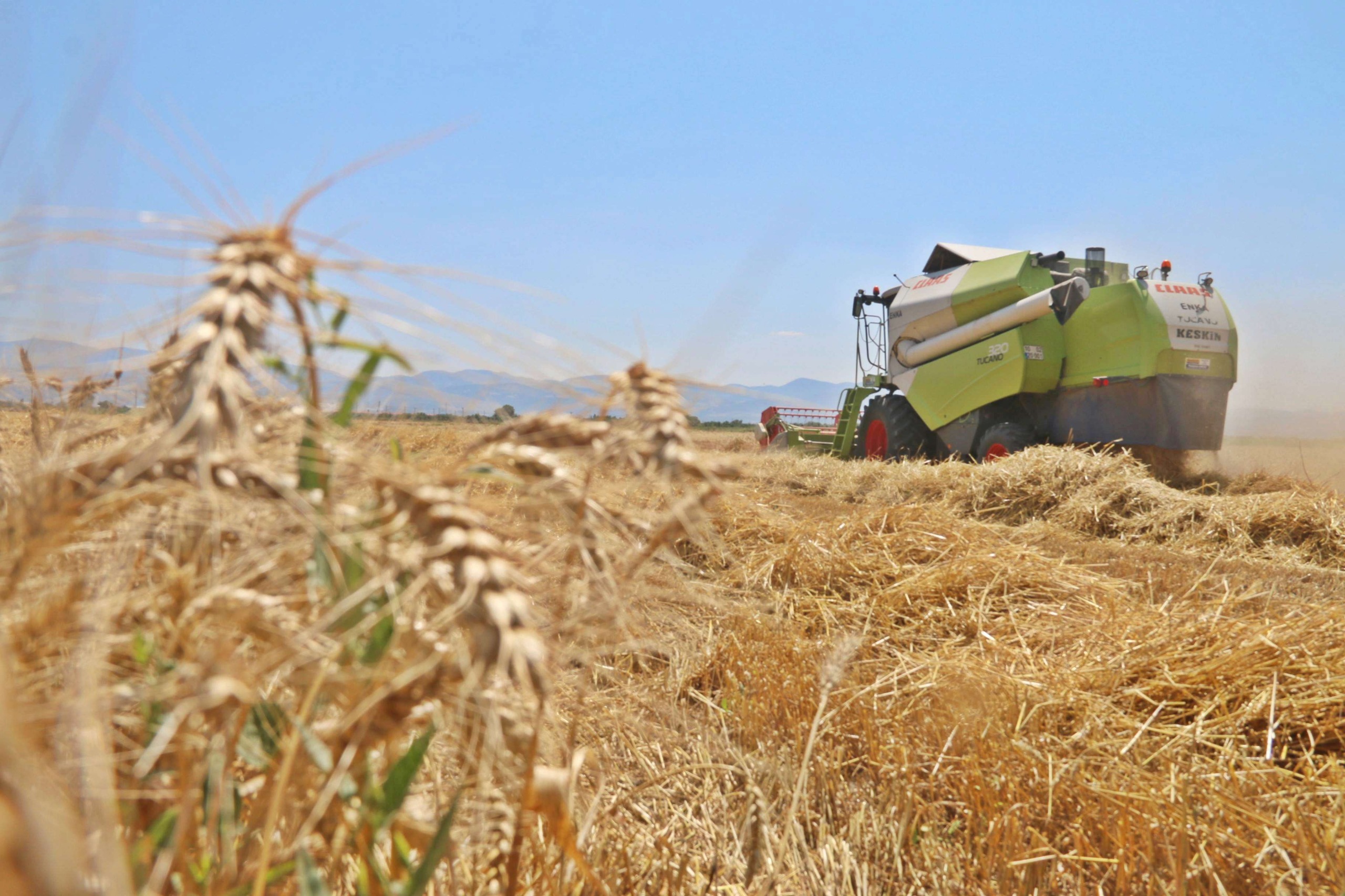 Manisa'da destek ödemeleri yüz güldürdü, peki zeytin: Aydoğan Okur açıkladı!