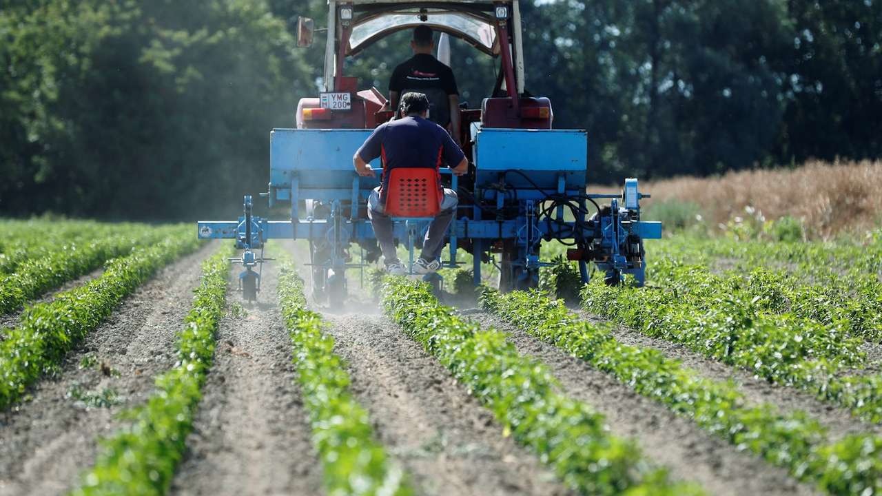 Manisa'da destek ödemeleri yüz güldürdü, peki zeytin: Aydoğan Okur açıkladı!