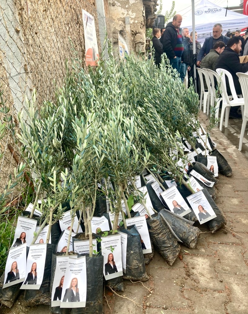 Gülşah Durbay Anısına Zeytin Fidanı… Üzerindeki Not Duygulandırdı