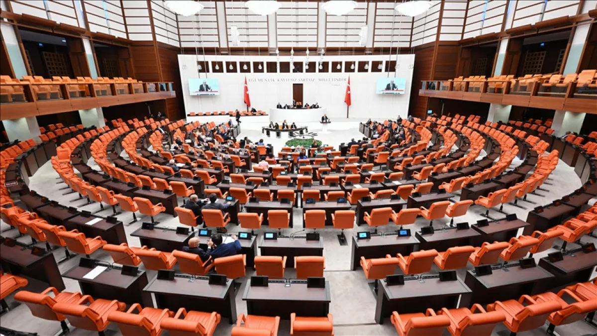 11. Yargı Paketi'nde Yeni Düzenleme: 'Akıl Hastasıyım' Diyip Cezadan Kaçamayacaklar!