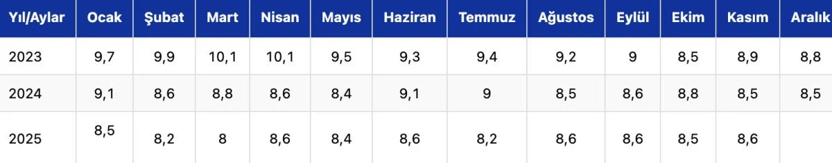 TÜİK Kasım Ayı İşsizlik Verilerini Açıkladı