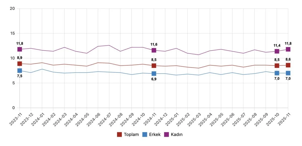 TÜİK Kasım Ayı İşsizlik Verilerini Açıkladı