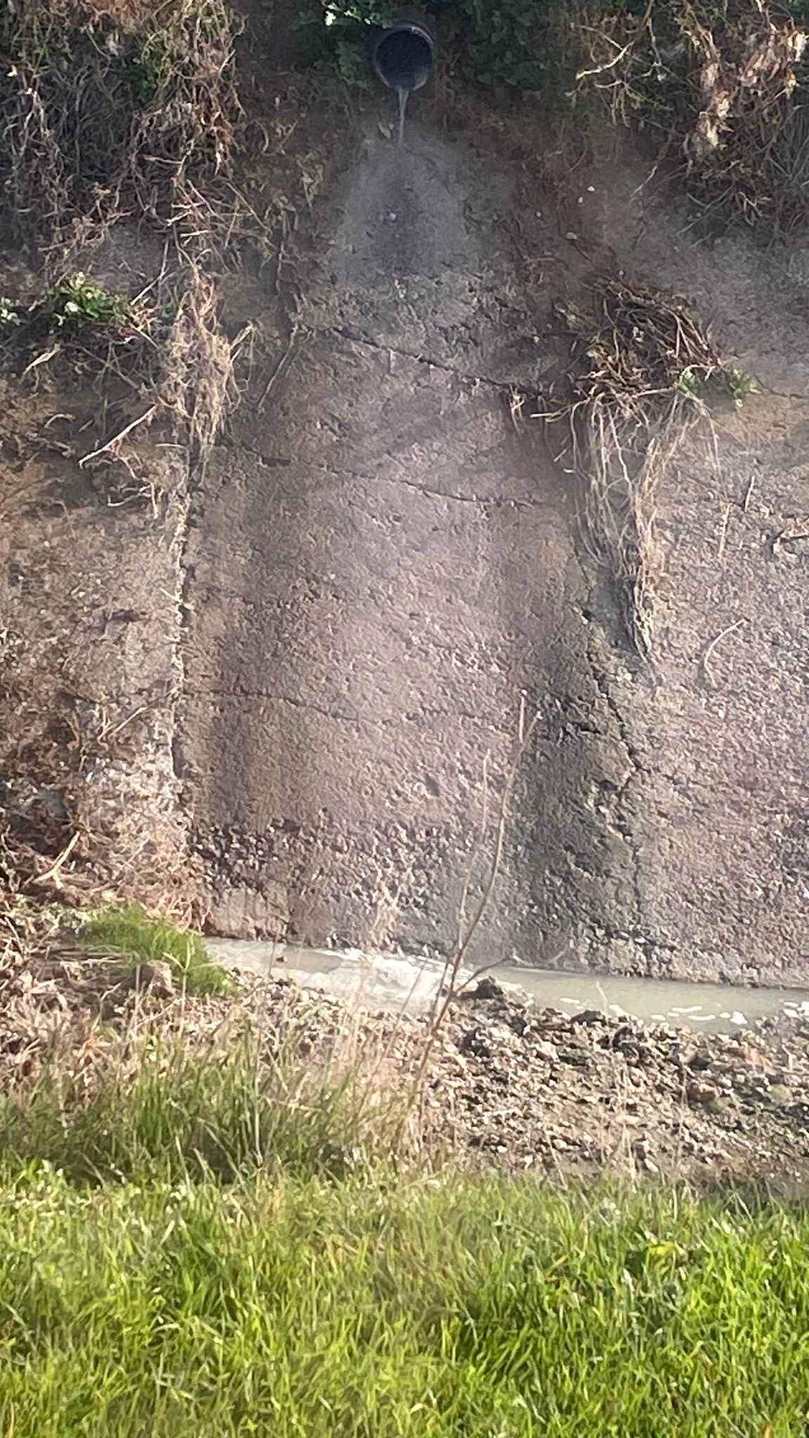 Manisa’da atık su skandalı: Çevre kirliğine geçit verilmedi!