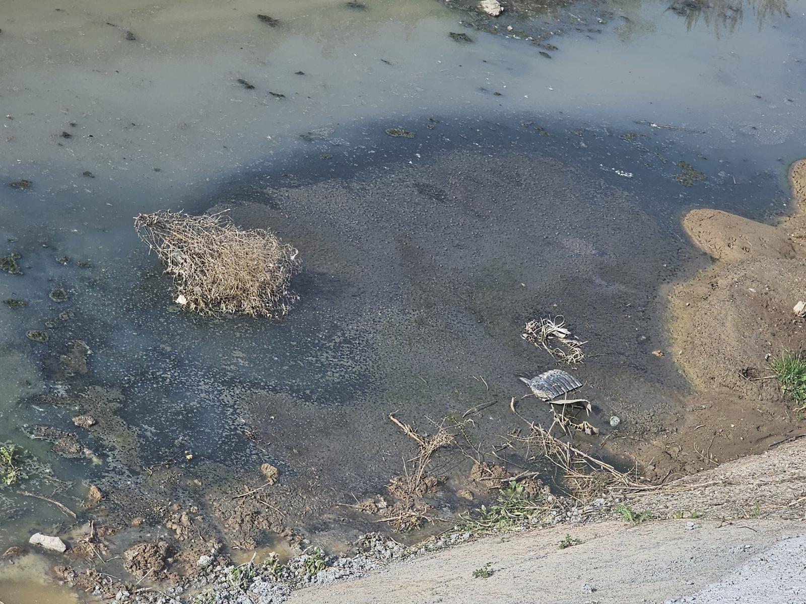 Manisa’da atık su skandalı: Çevre kirliğine geçit verilmedi!