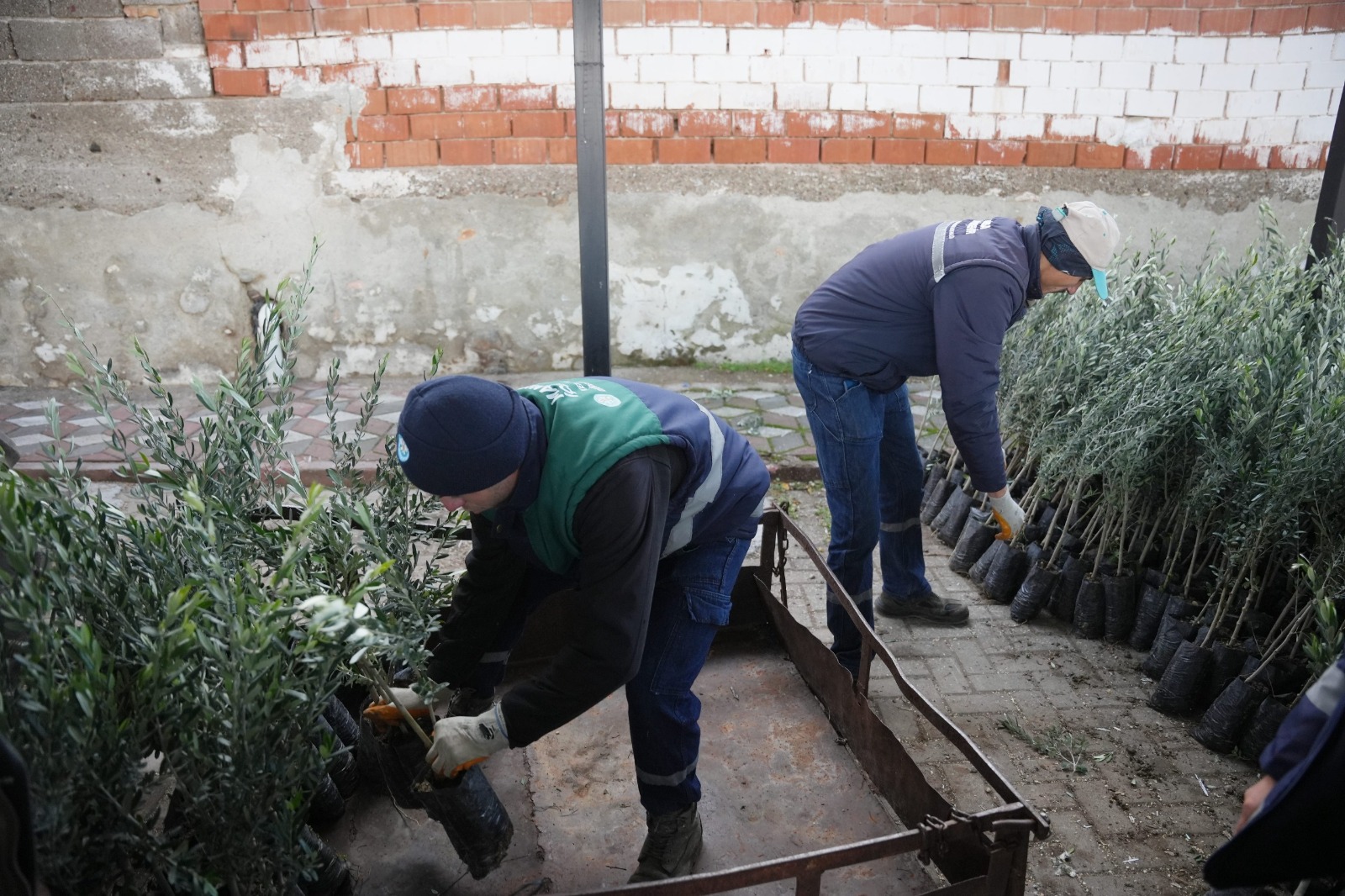 Manisa Büyükşehir Belediyesi’nden afetzede üreticiye büyük destek
