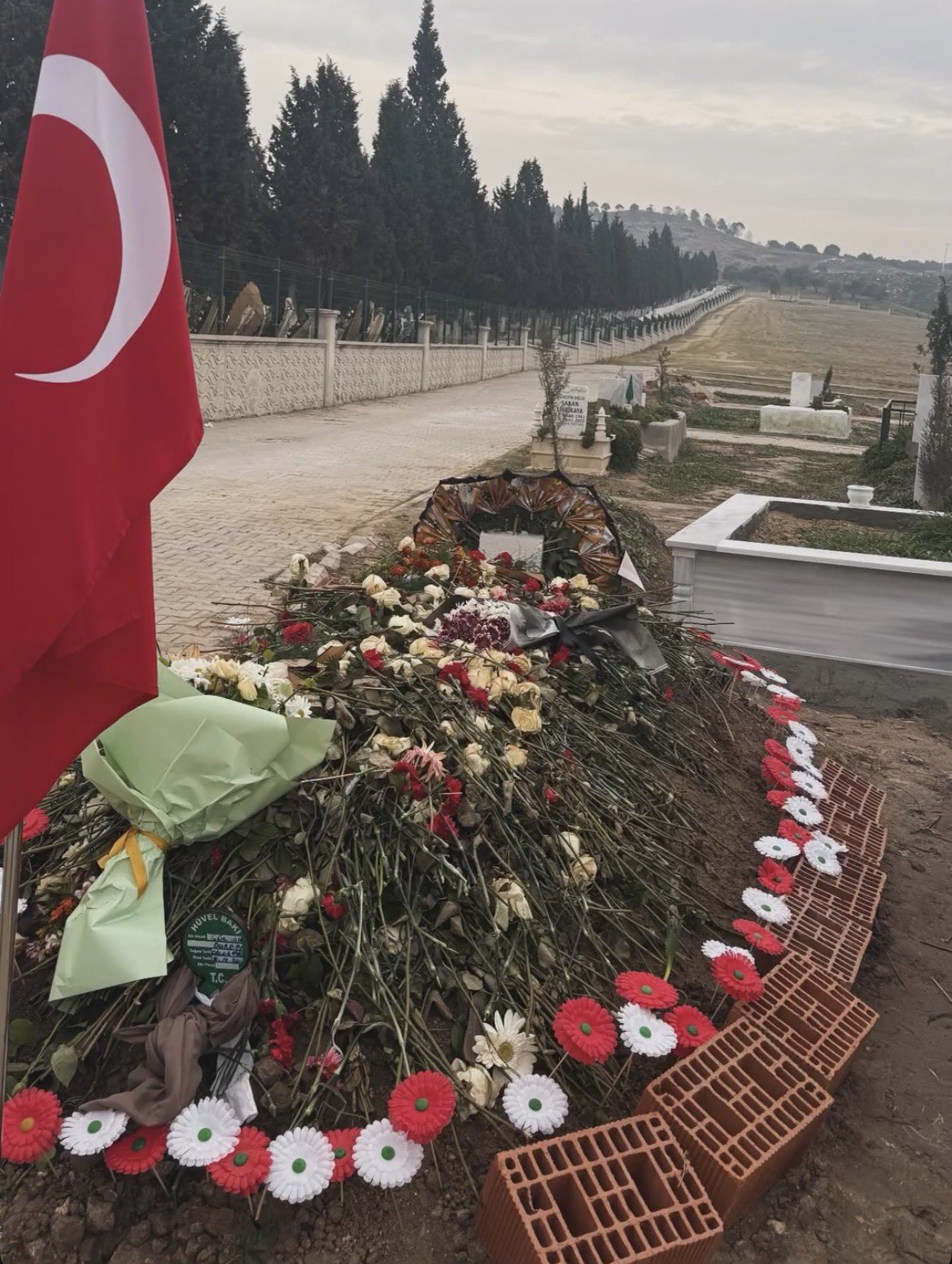Gülşah Durbay Anısına Zeytin Fidanı… Üzerindeki Not Duygulandırdı