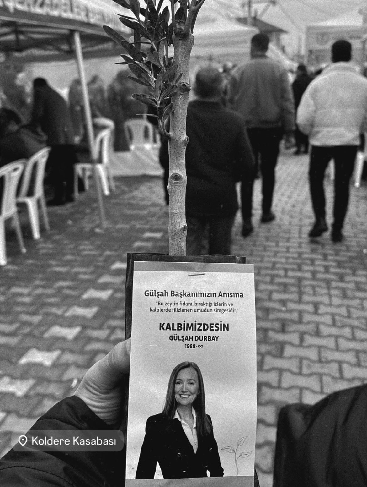 Gülşah Durbay Anısına Zeytin Fidanı… Üzerindeki Not Duygulandırdı