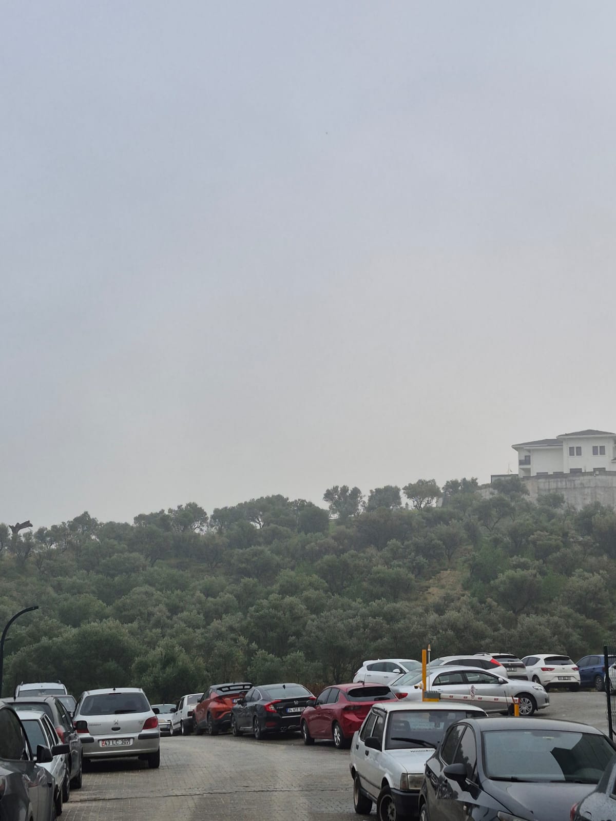 Manisa güne sis ile uyandı