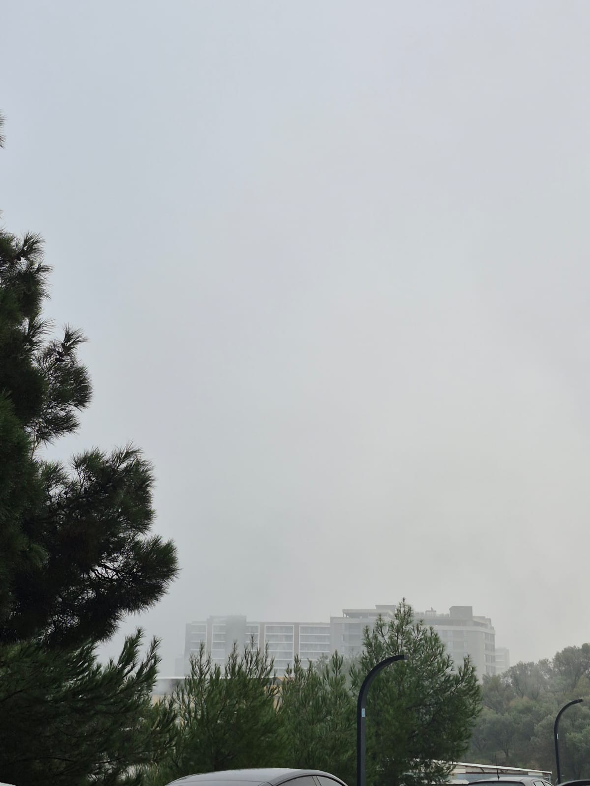 Manisa güne sis ile uyandı