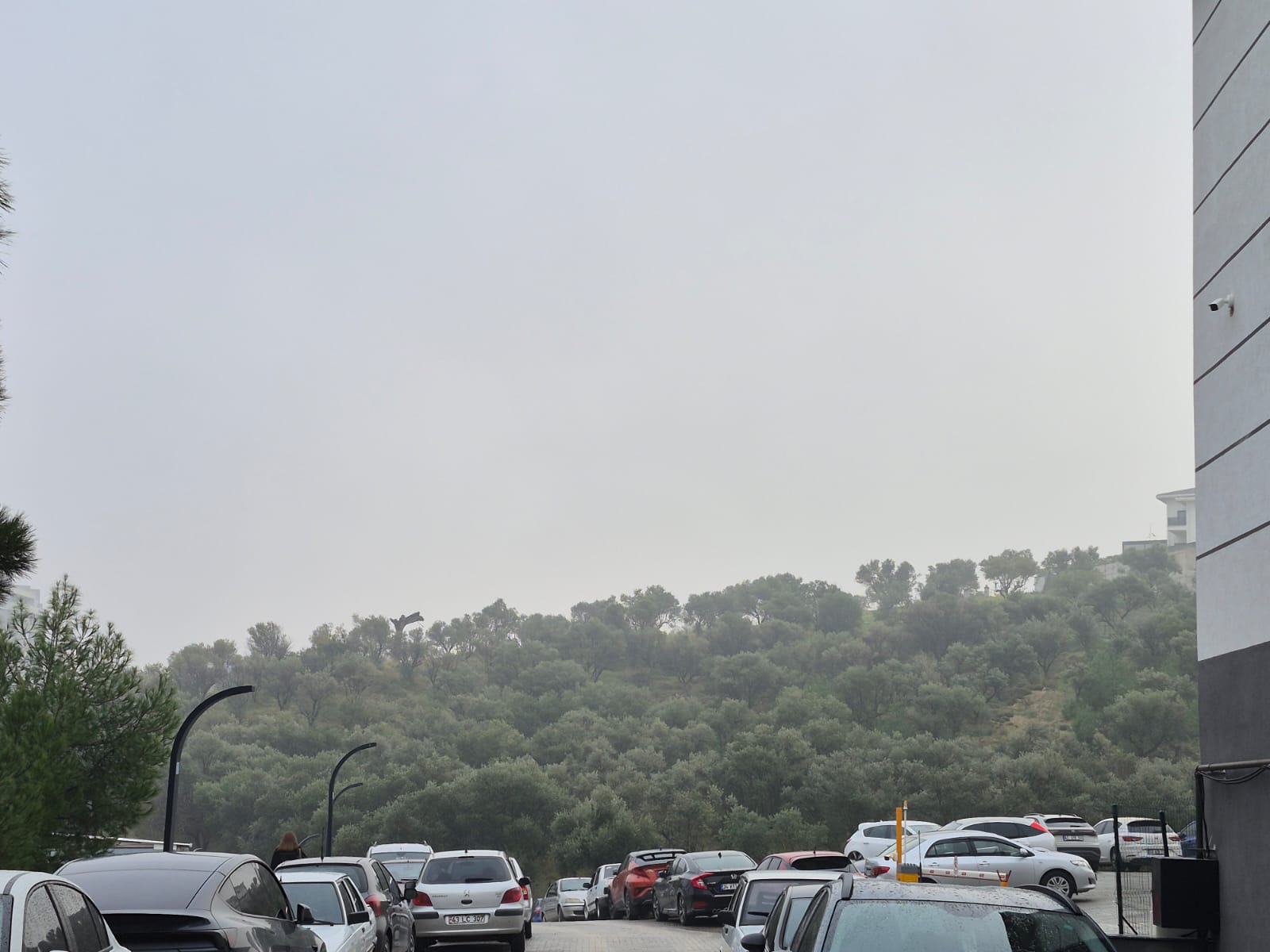 Manisa güne sis ile uyandı