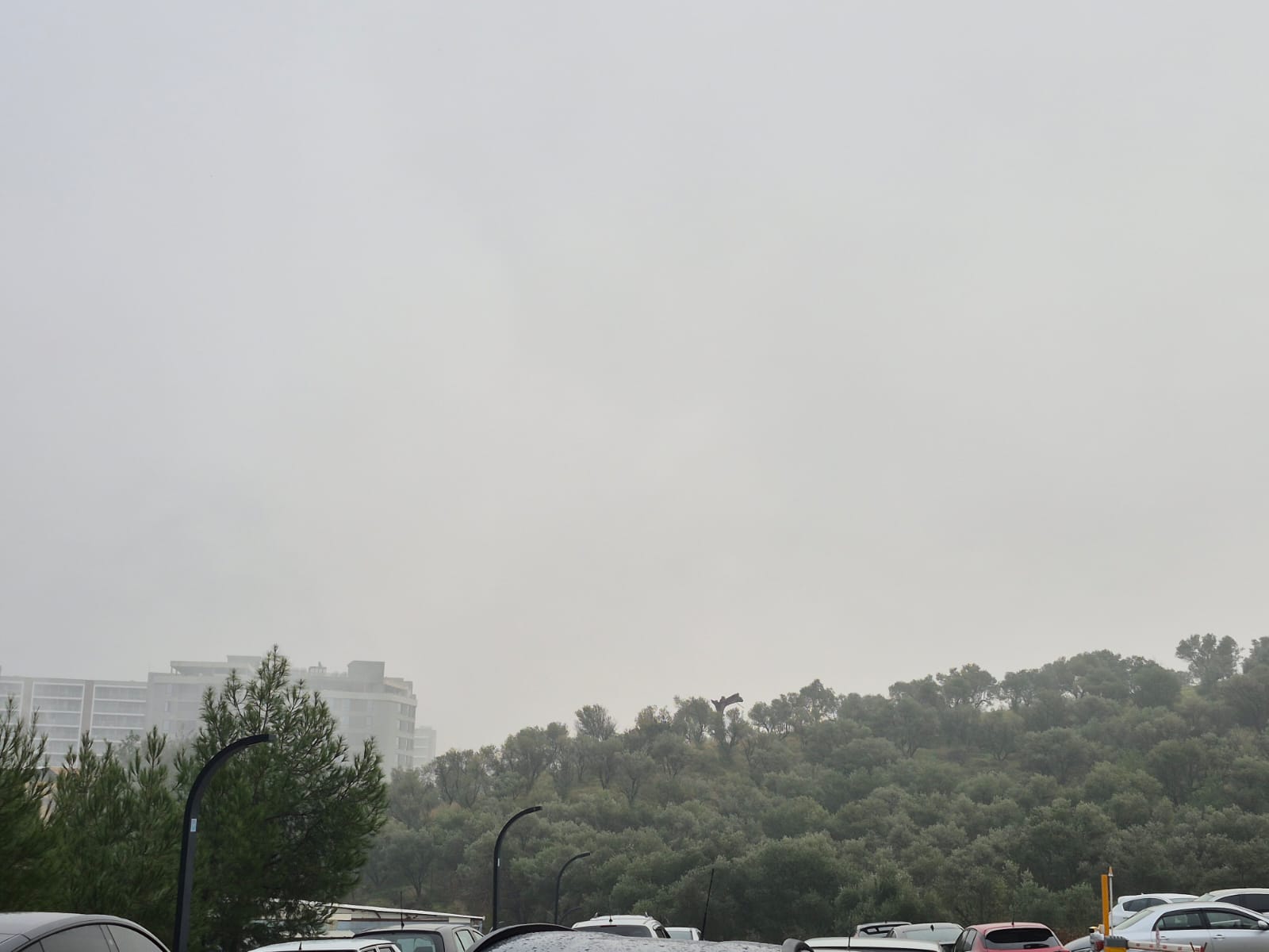 Manisa güne sis ile uyandı