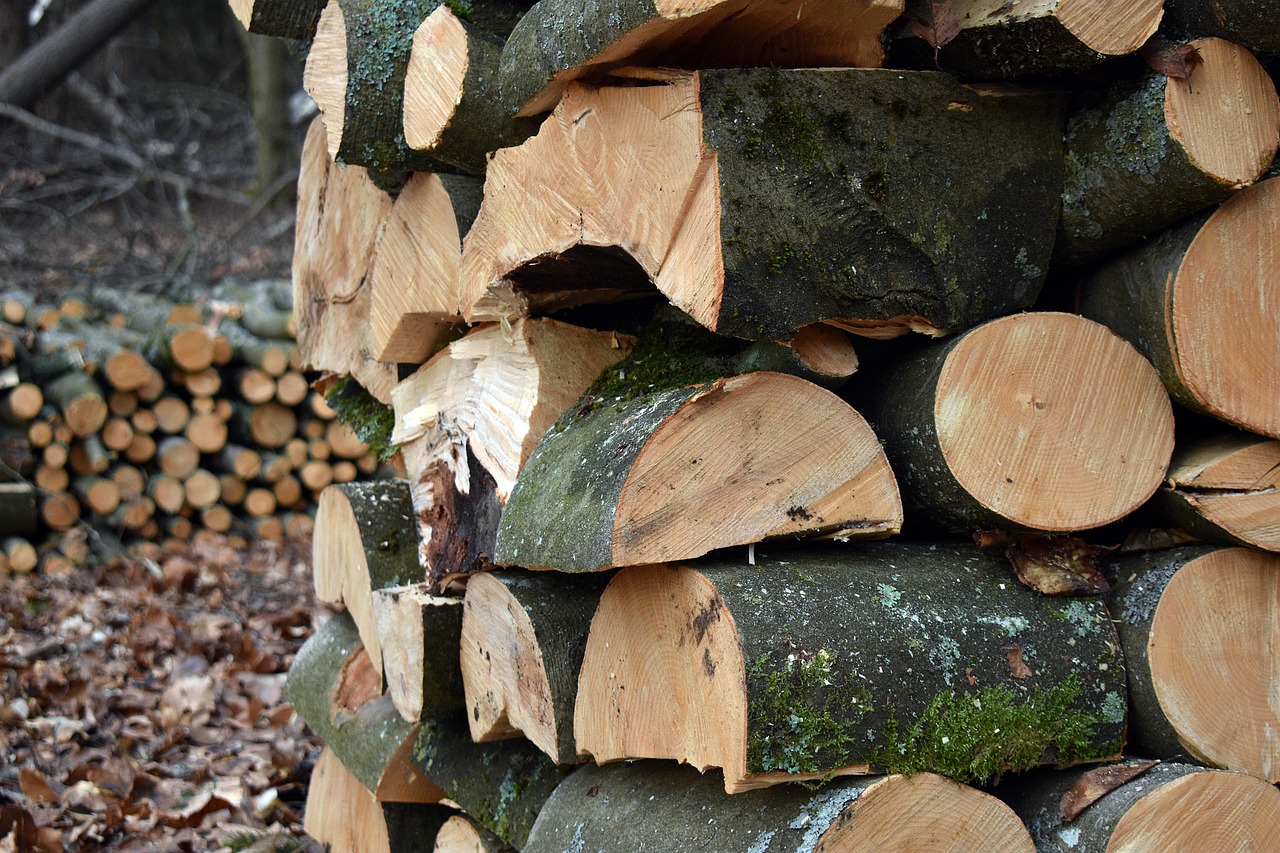 Manisa’da kış zamları başladı: Odun ve kömüre büyük zam!