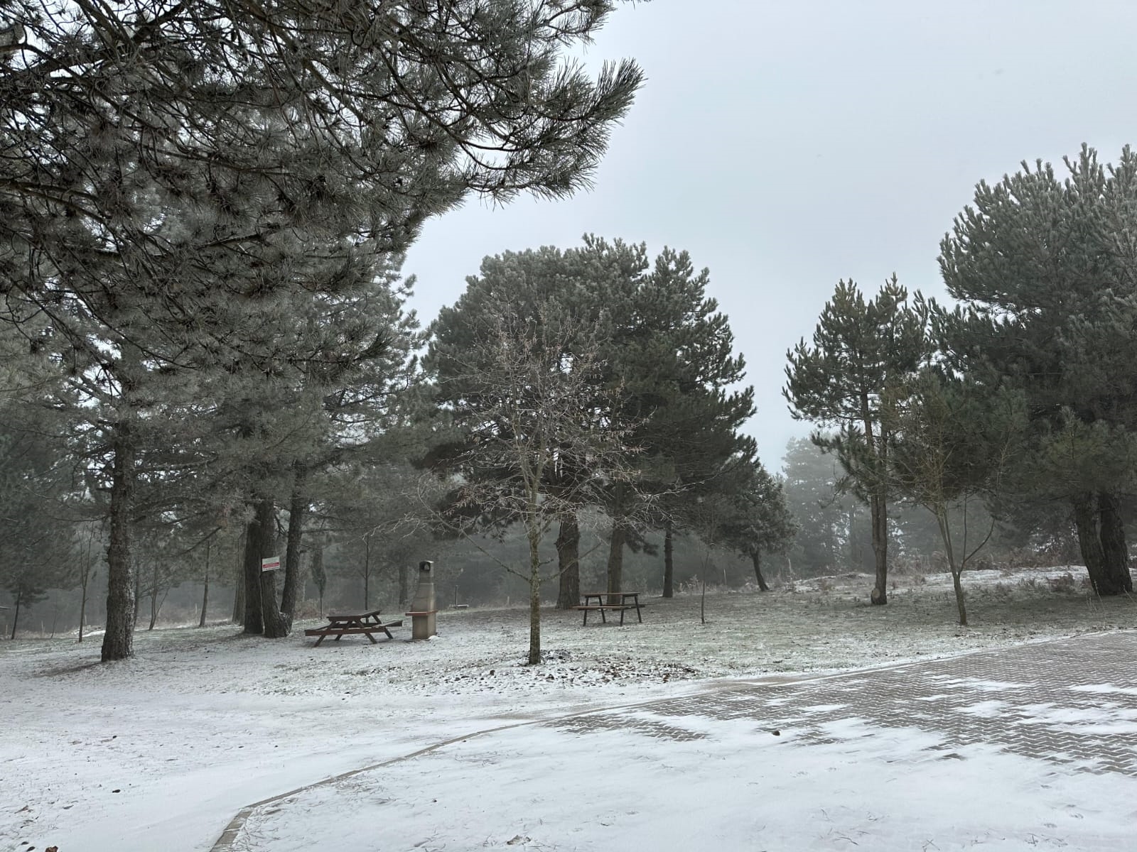 Manisa'ya Kar Müjdesi: Beklenen Yağış Gerçekleşti