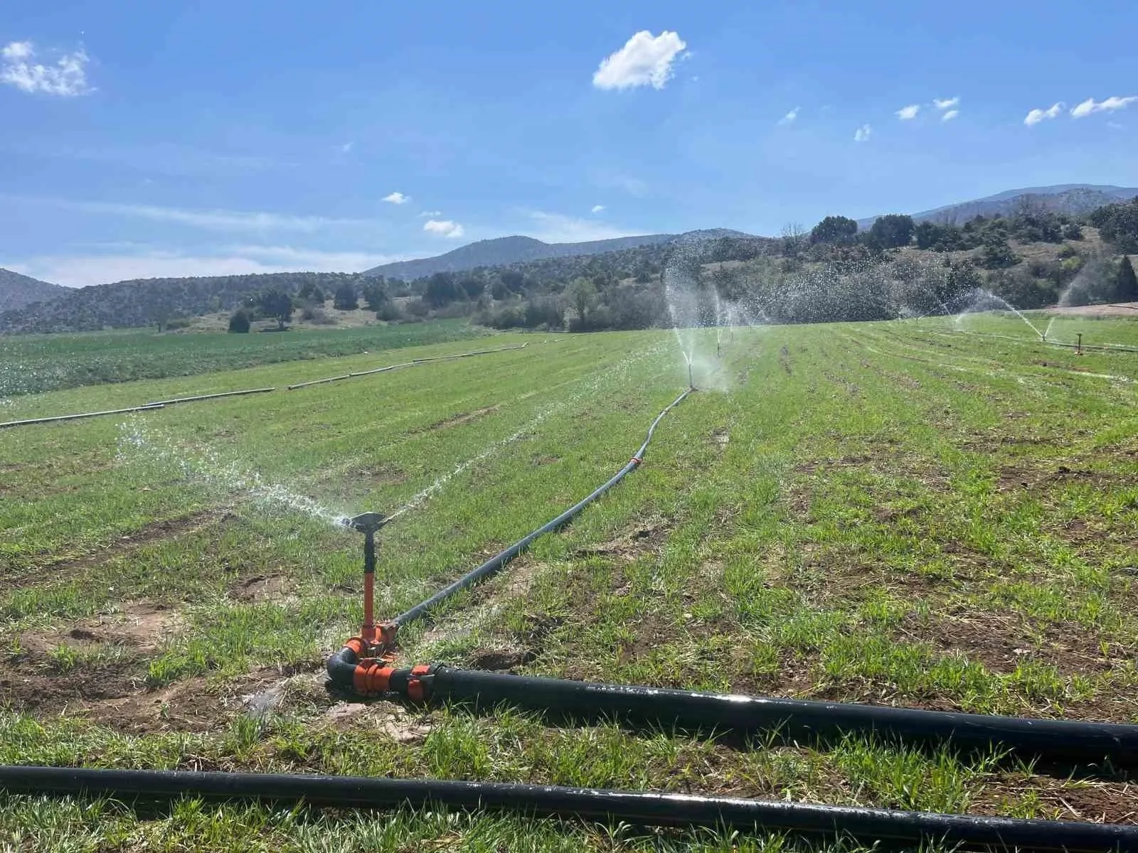 Manisa’da Yağmur Çiftçinin Yüzünü Güldürdü