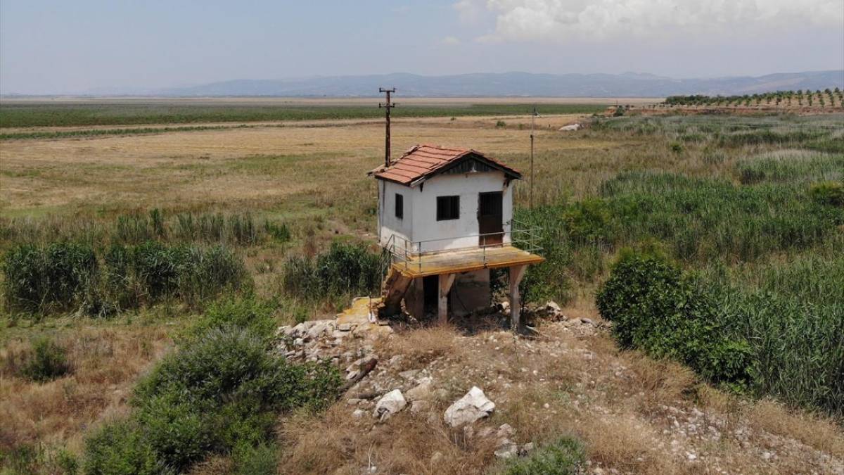 Manisa’da Yağmur Çiftçinin Yüzünü Güldürdü
