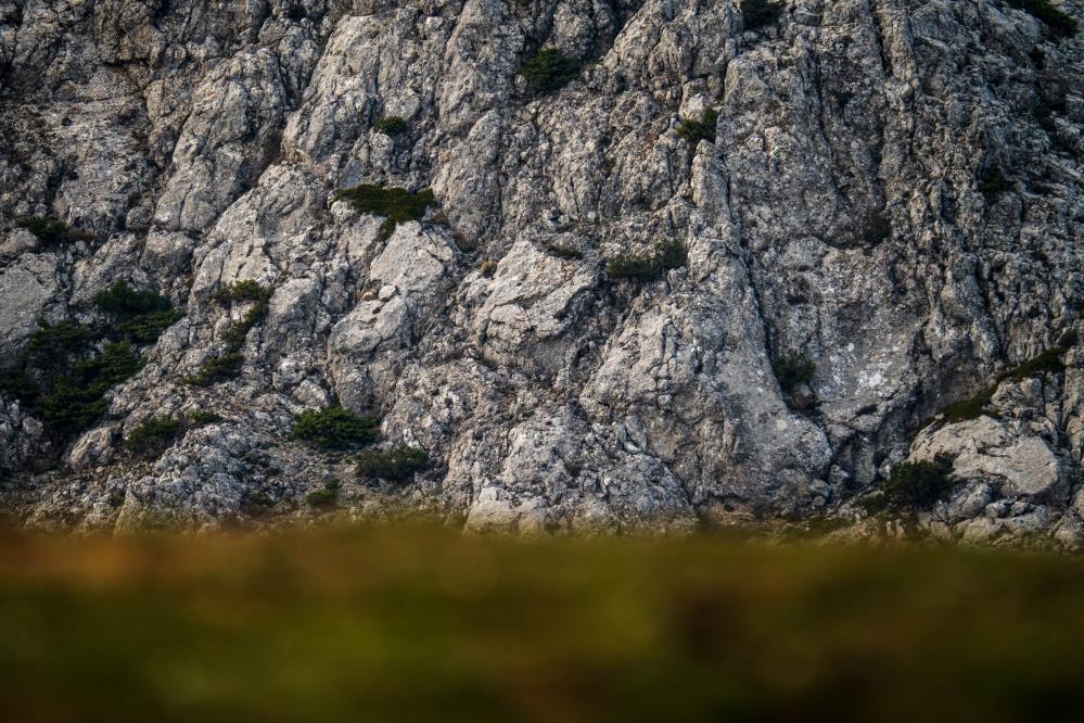Manisa'da Kar Hasreti Çiftçiyi Vurdu: Barajlar Kritik Seviyede!