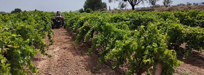 Bakan Yumaklı’dan Manisa’ya ve Gediz Ovası'na Müjde!