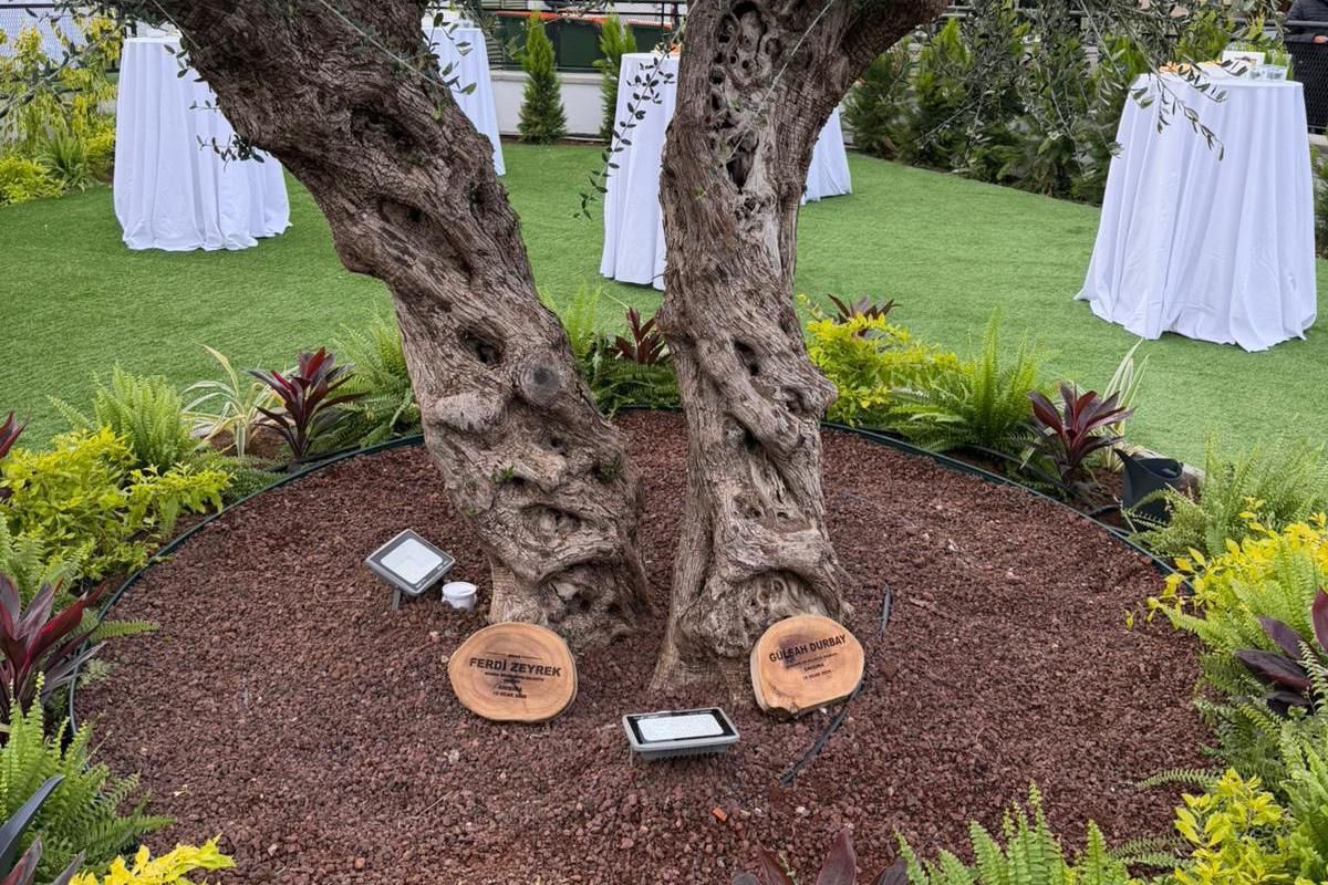 Manisa ve Güzelyurt Arasında Eğitim Köprüsü