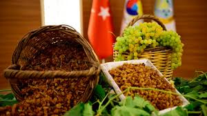 Manisa Tarımda Gücünü Pekiştiriyor: Üretimde Lider, İhracatta Rekor, Çiftçiye Güçlü Destek