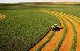 Manisa Tarımda Gücünü Pekiştiriyor: Üretimde Lider, İhracatta Rekor, Çiftçiye Güçlü Destek