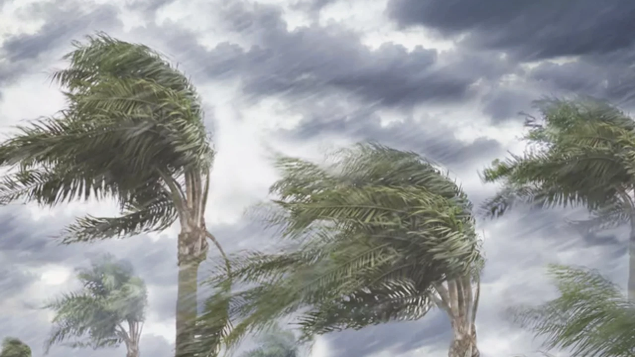 Manisa Genelinde Sarı Kodlu Uyarı: Kuvvetli Rüzgar ve Fırtınaya Dikkat!