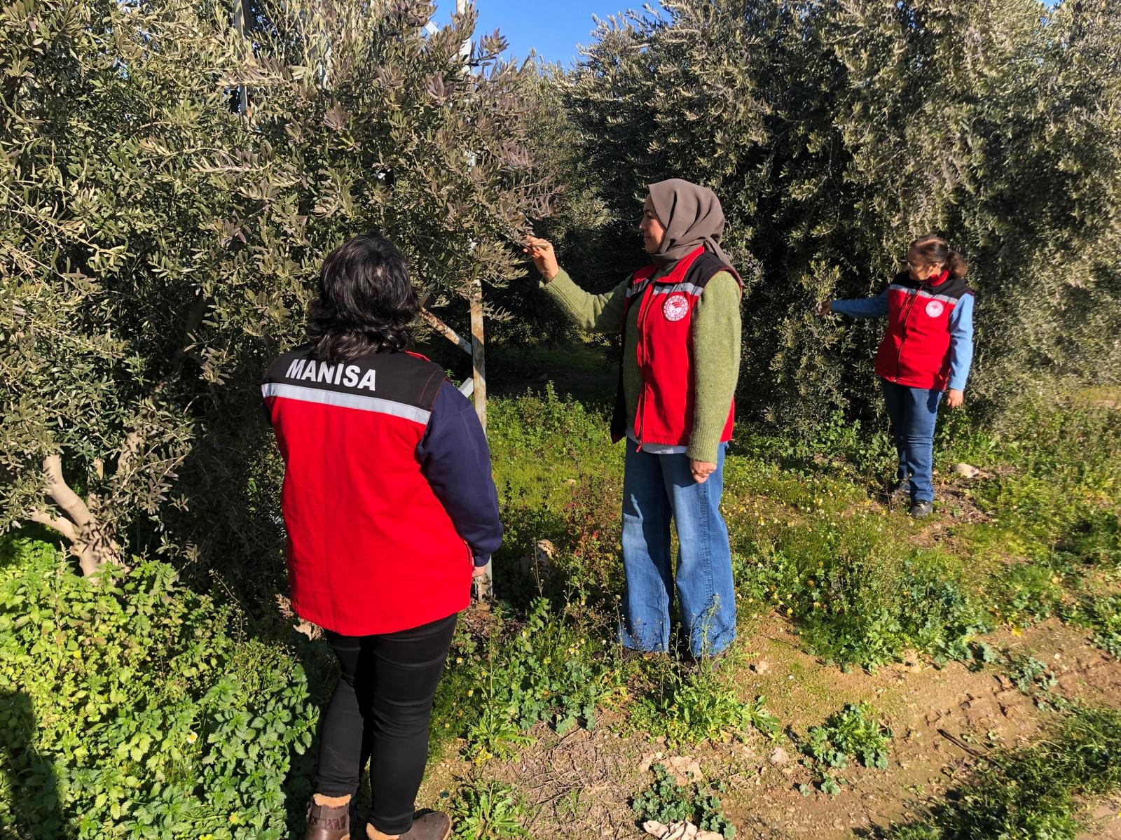 Manisa'da ekiplerden soğuk havada saha incelemesi