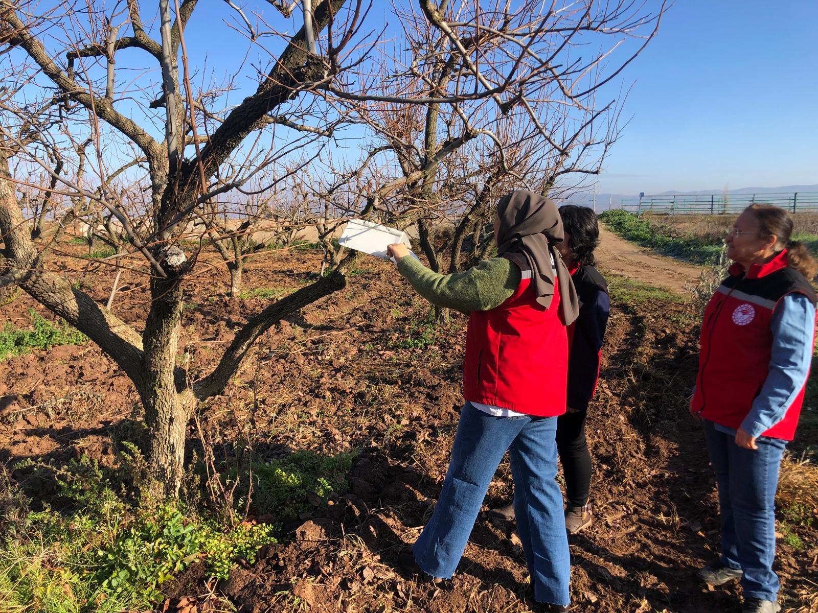 Manisa'da ekiplerden soğuk havada saha incelemesi