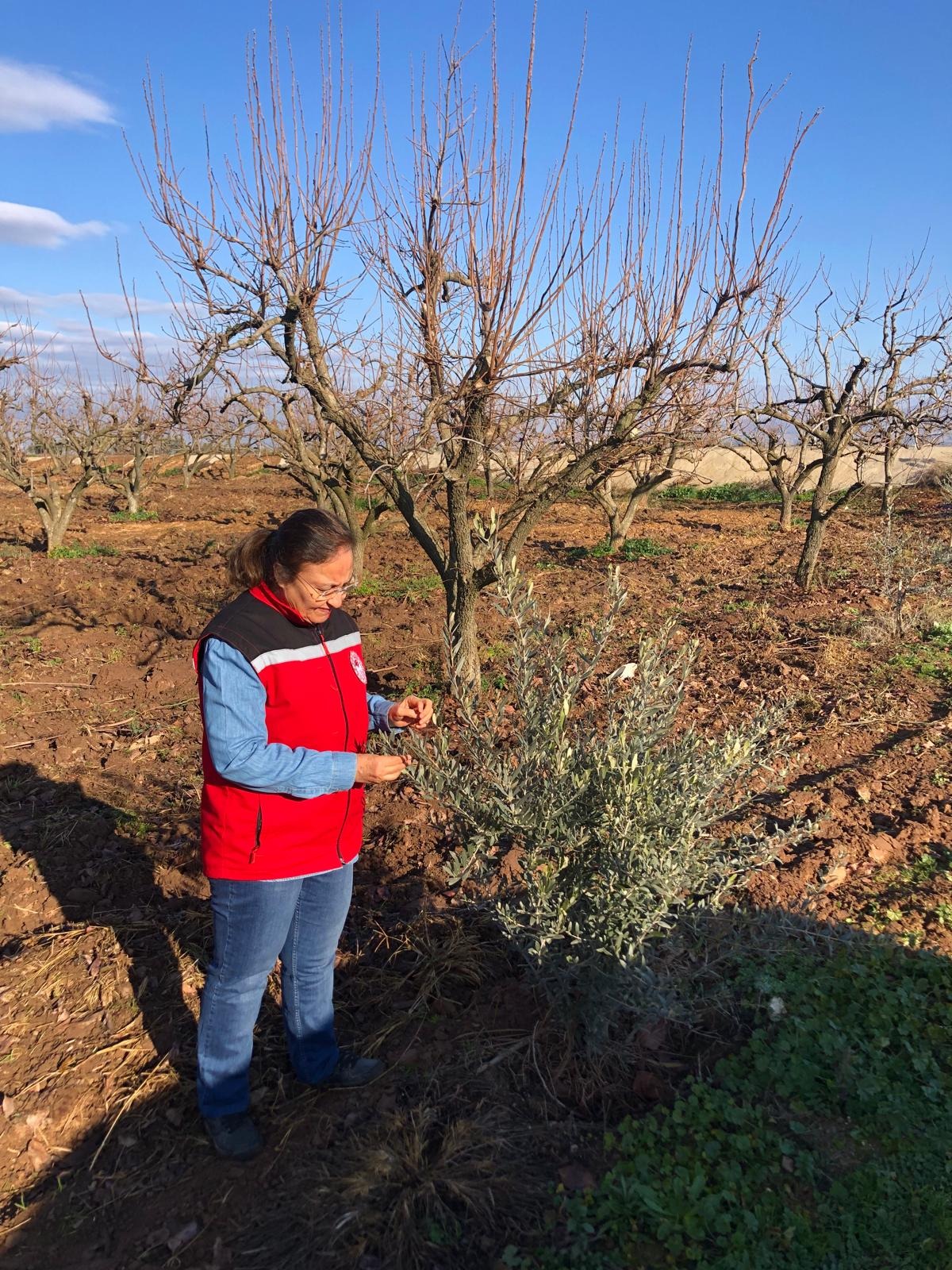 Manisa'da ekiplerden soğuk havada saha incelemesi