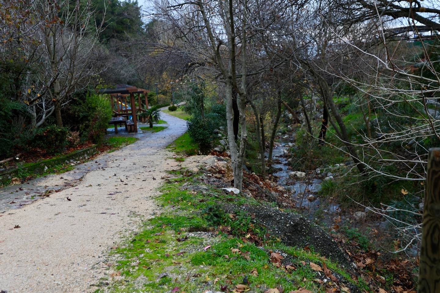 Manisa'da Gençlerin Yeni Buluşma Noktası: Gençlik Kafe Yoğun İlgi Görüyor