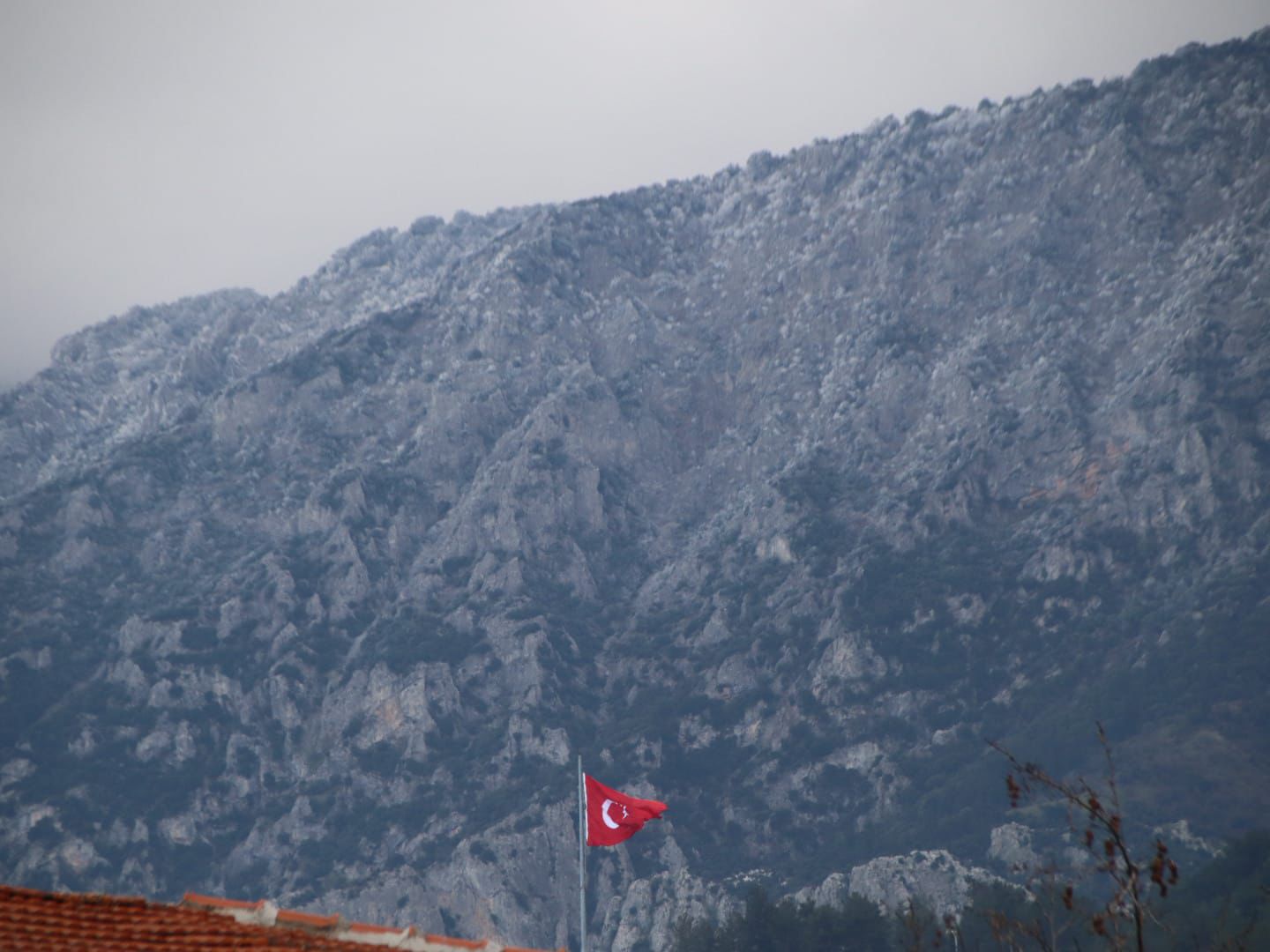 Whatsapp Image 2026 01 19 At 16.47.20 (1)