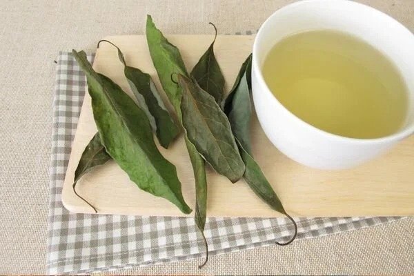 Avokadonun asıl cevheri yaprağında: Kaynatıp içen faydasını görüyor