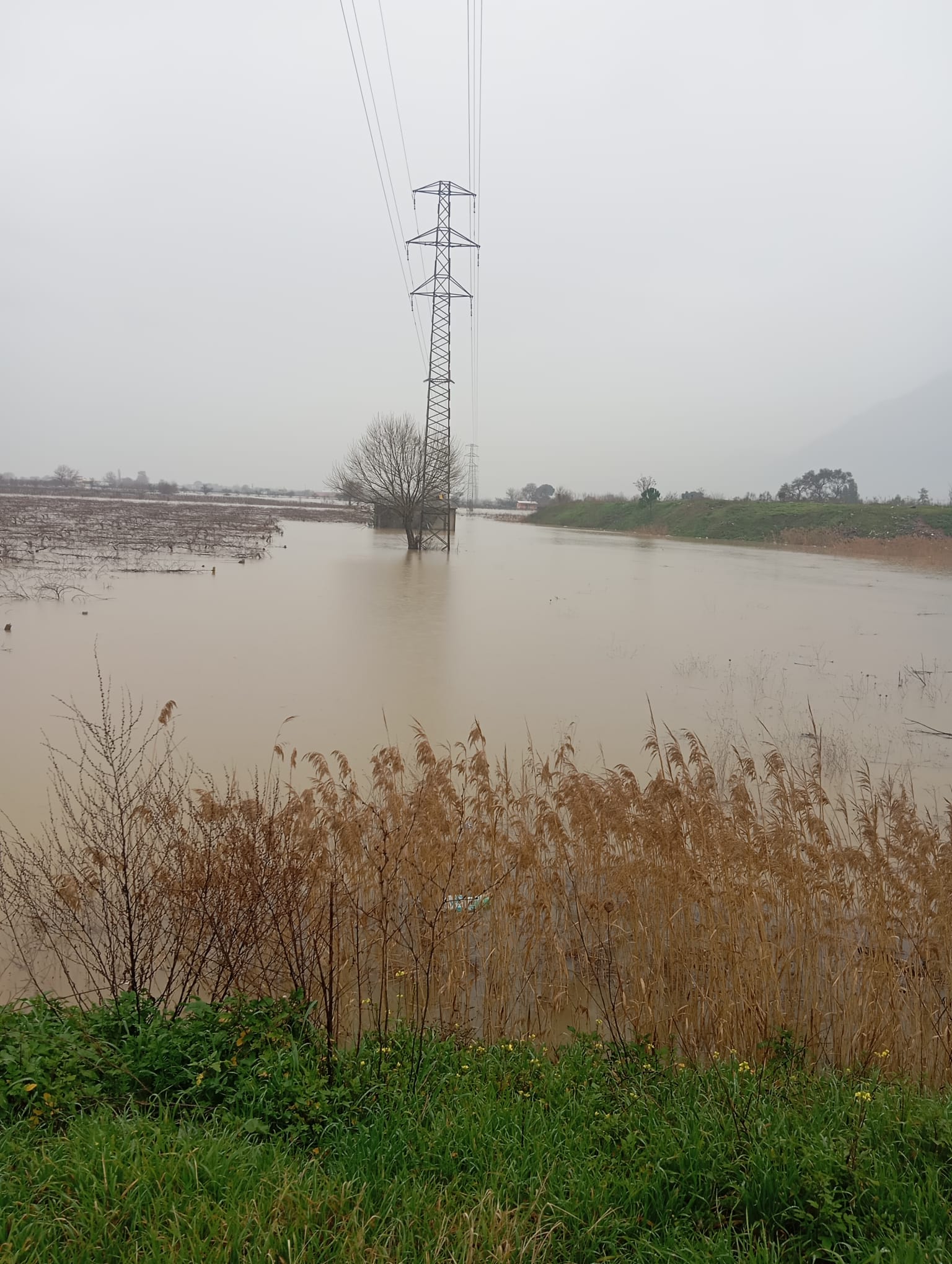 Manisa'da Taşkın! Nif Çayı Bağları Yuttu (9)