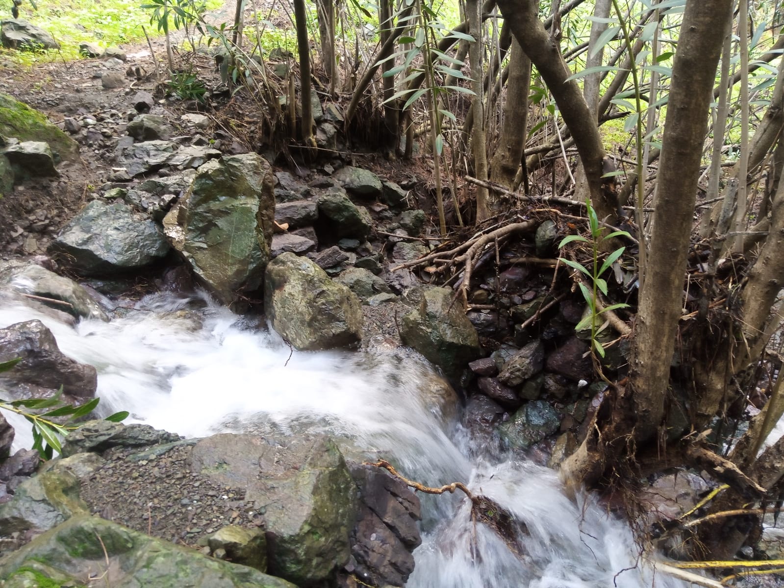 Spil Dağı’nda su yeniden aktı: Kuraklık sonrası kartpostallık manzaralar