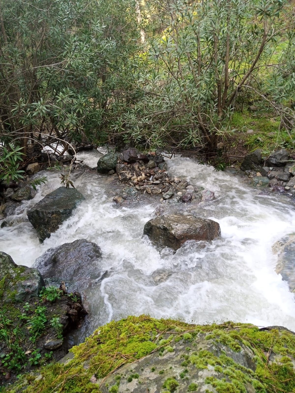 Spil Dağı’nda su yeniden aktı: Kuraklık sonrası kartpostallık manzaralar