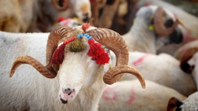 Kurban Bayramı 2026’da ne zaman?