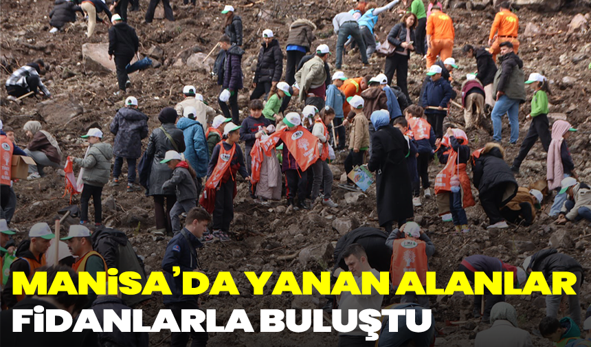 Manisa’da yanan alanlar fidanlarla buluştu