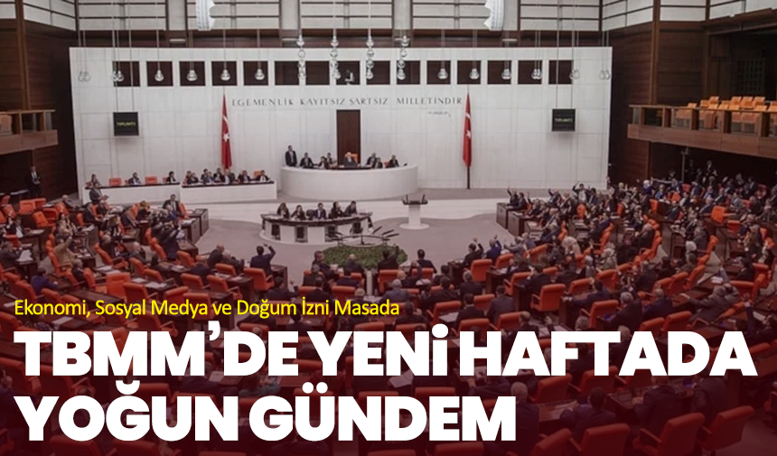 TBMM’de Yeni Haftada Yoğun Gündem: Ekonomi, Sosyal Medya ve Doğum İzni Masada
