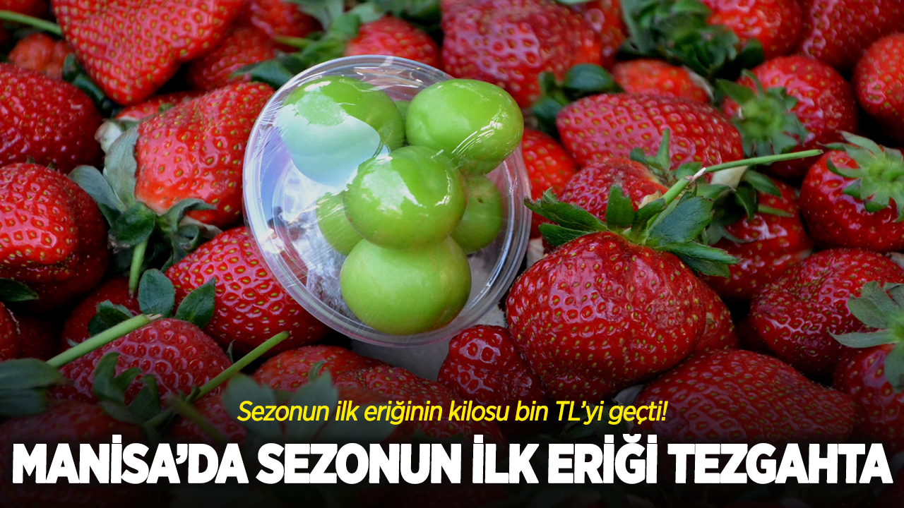 Manisa’da Sezonun İlk Eriği Tezgahta: Kilosu Bin TL’yi Geçti