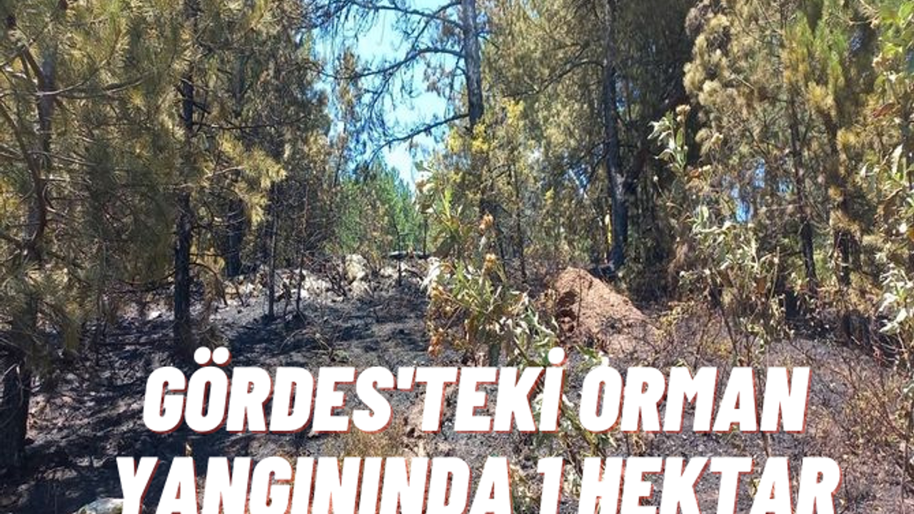 Manisa'da çıkan yangın 1 hektarlık orman arazisine zarar verdi
