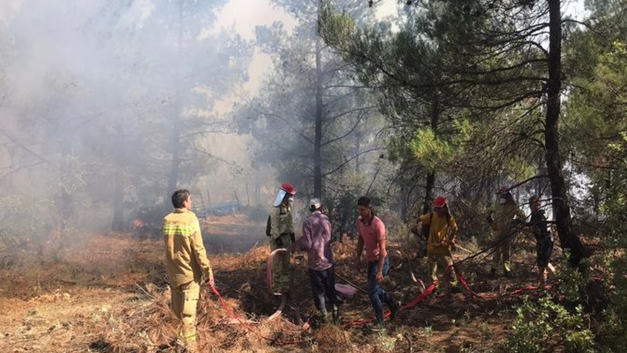 Manisa Gördes'teki orman yangınında ekipler seferber oldu