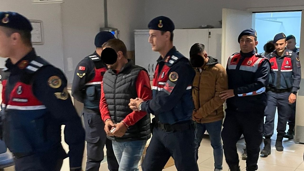 Manisa'da zeytin hırsızlığından 4 kişi tutuklandı