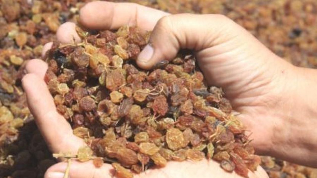 Manisa'da 6 ton üzüm çalan hırsız üzümleri satınca yakayı ele verdi