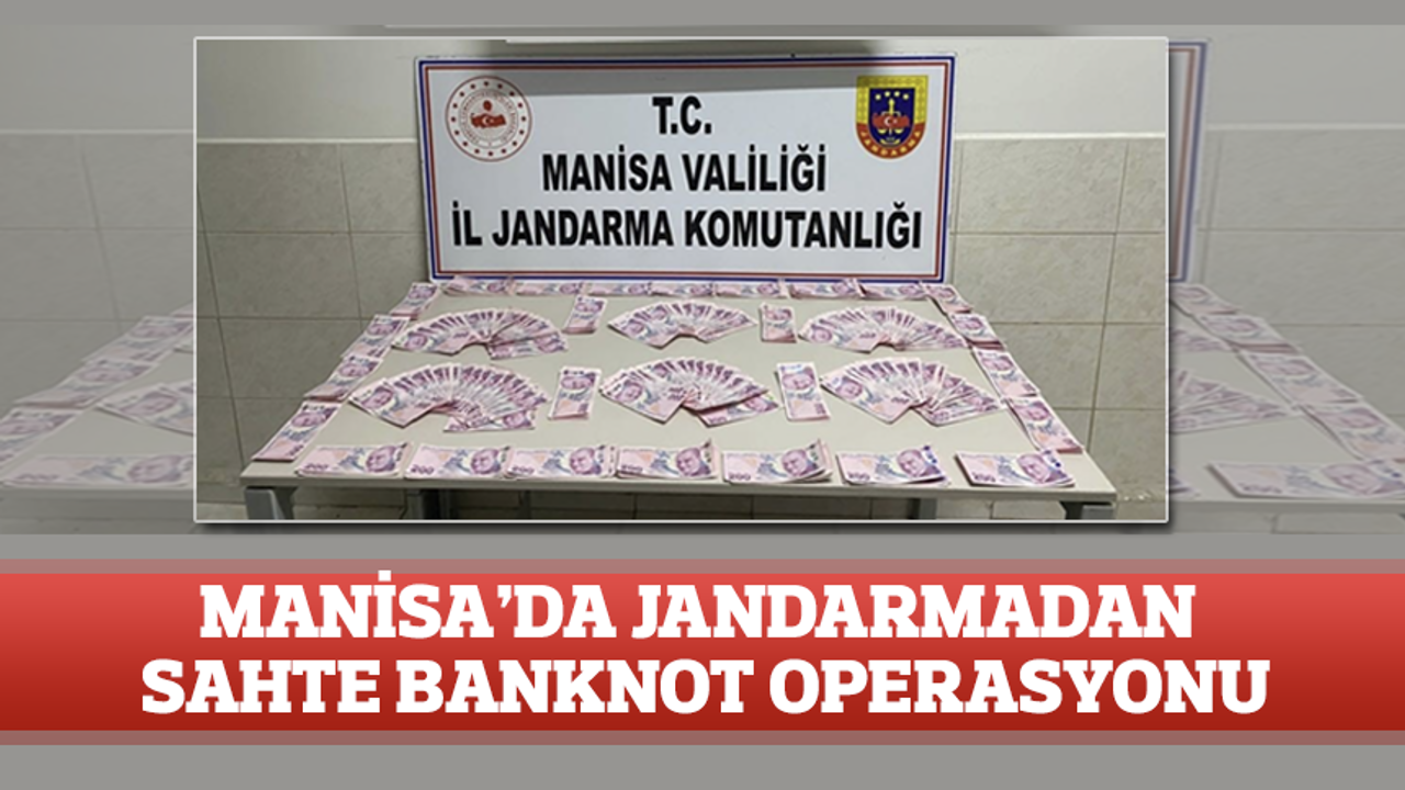 Manisa'da jandarmadan sahte banknot operasyonu