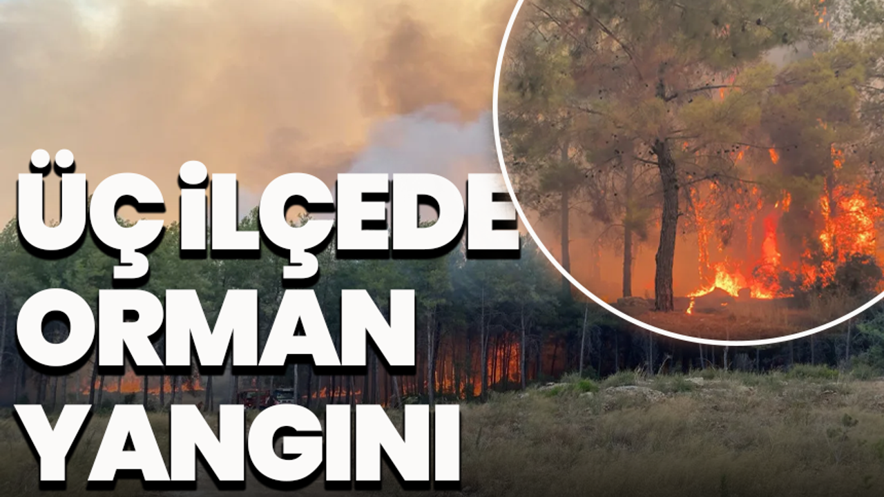 Antalya’da Devam Eden Orman Yangınları: 4 Yangın Kontrol Altında, Mücadele Sürüyor